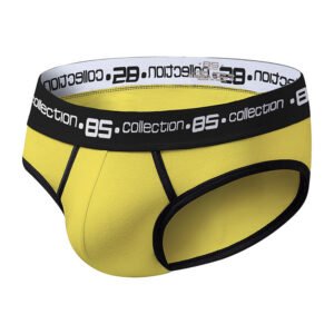 Men's underwear cotton breathable sexy stretch briefs