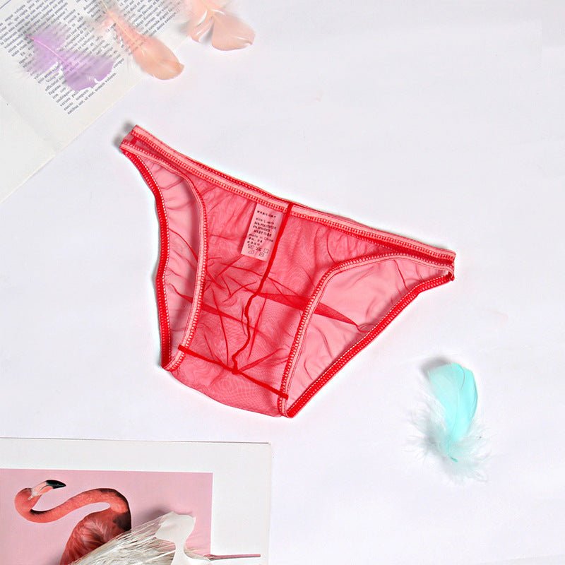 Mesh Boxer Briefs See Through Panties Breathable Seamless Underwear - Image 8