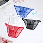 Mesh Boxer Briefs See Through Panties Breathable Seamless Underwear