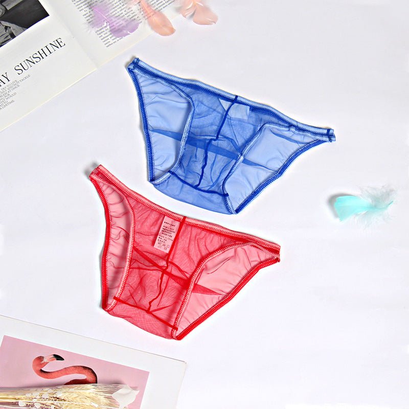 Mesh Boxer Briefs See Through Panties Breathable Seamless Underwear - Image 3