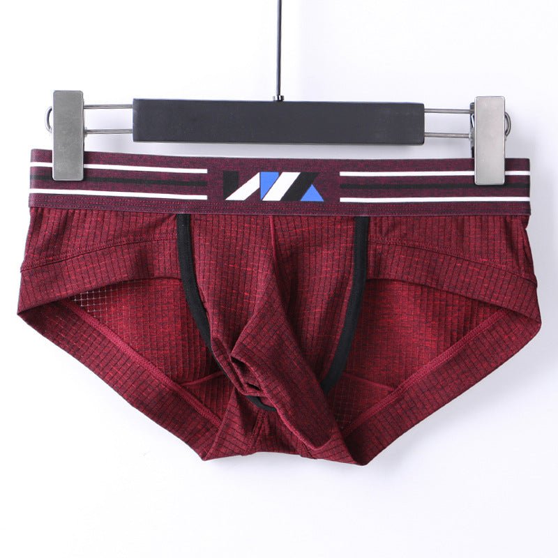 Men ice silk sexy underwear explosive style airplane briefs - Image 10