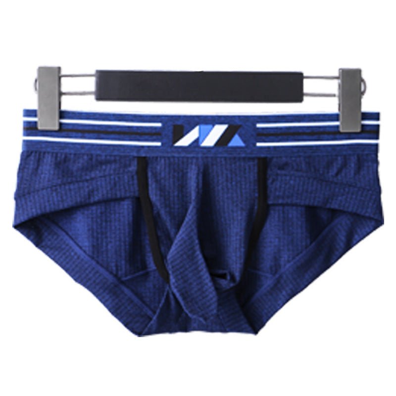 Men ice silk sexy underwear explosive style airplane briefs - Image 3