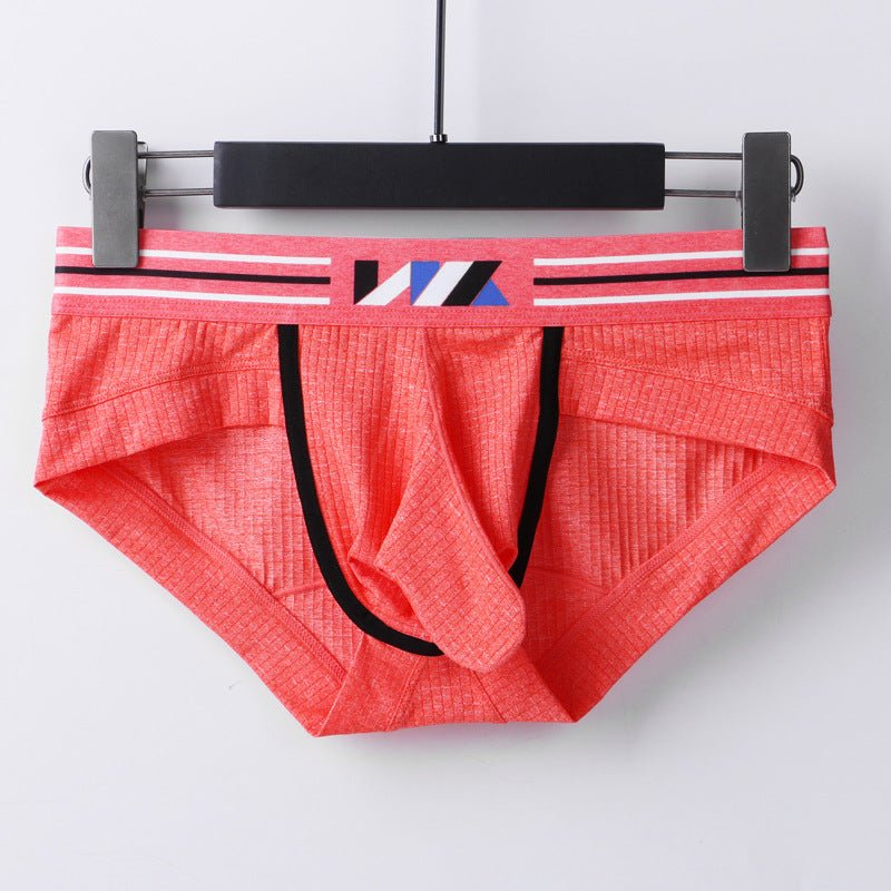 Men ice silk sexy underwear explosive style airplane briefs - Image 8