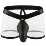 Mesh Boxer Men Big Penis Pouch Open Back Male Sexy Underwear