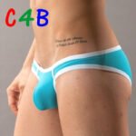 Sexy men's underwear mesh briefs