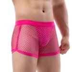 Sexy Mesh Transparent Boxers for Men Underwear